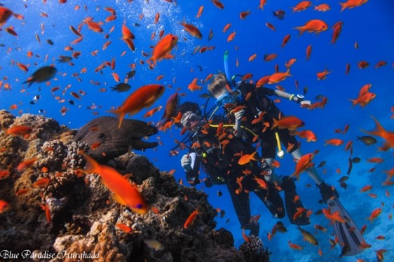 BUCHEN SIE JETZT IHREN TRY-DIVE UND ERHALTEN SIE 10% RABATT